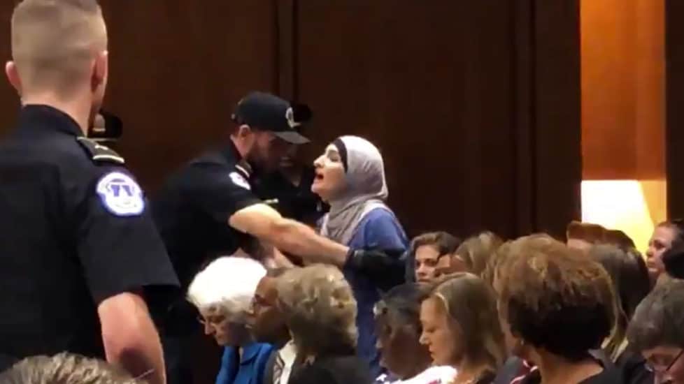 Linda-sarsour | Sean Hannity