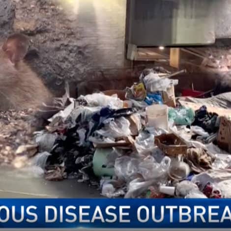 RAT CITY: LAPD Officers Diagnosed with Typhus, Other Diseases Linked to Massive Rat Infestation