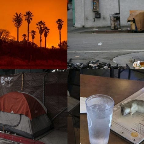 EXIT PLAN: Lifelong California Residents ‘Ready to Move’ Following Blackouts, Wildfires, Rat Infestations