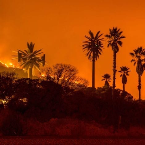 LA CHAOS: California Wildfires Threaten 10,000 Buildings in Los Angeles, Power Cut to 2.5 Million