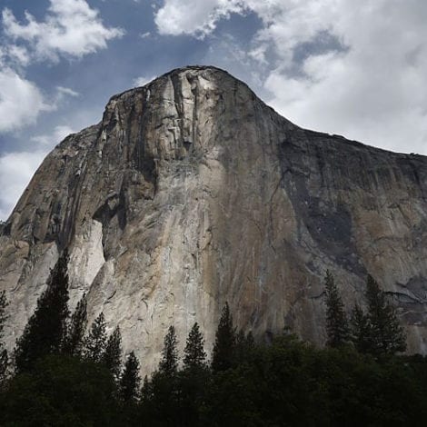 TRUMP: ‘We Will Begin to Re-Open Our National Parks and Public Lands for the American People’