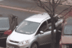 ehn park job