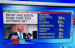 biden poll