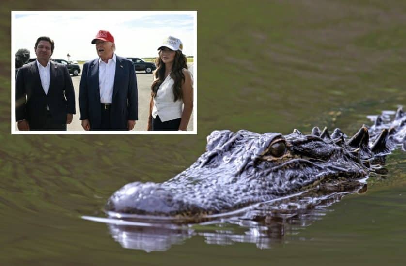 OPEN WIDE FOR BUSINESS: Trump Visits 'Alligator Alcatraz' with Ron DeSantis and Kristi Noem [WATCH]